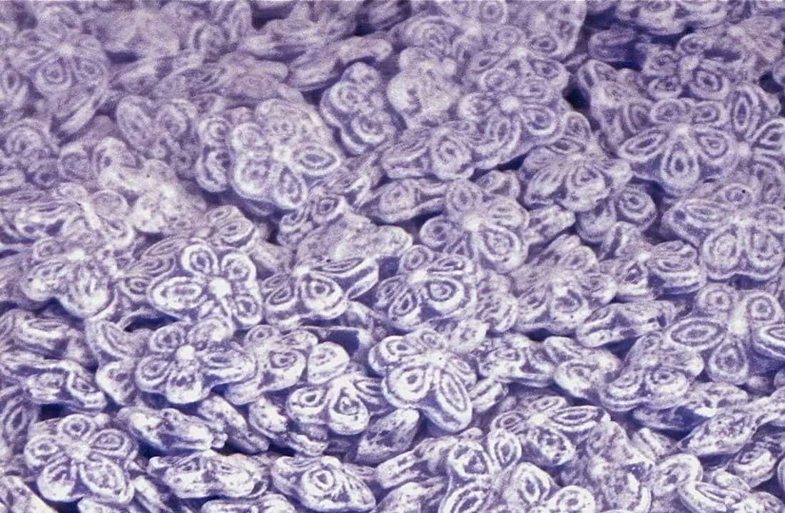 ¡Violeta por todas partes!