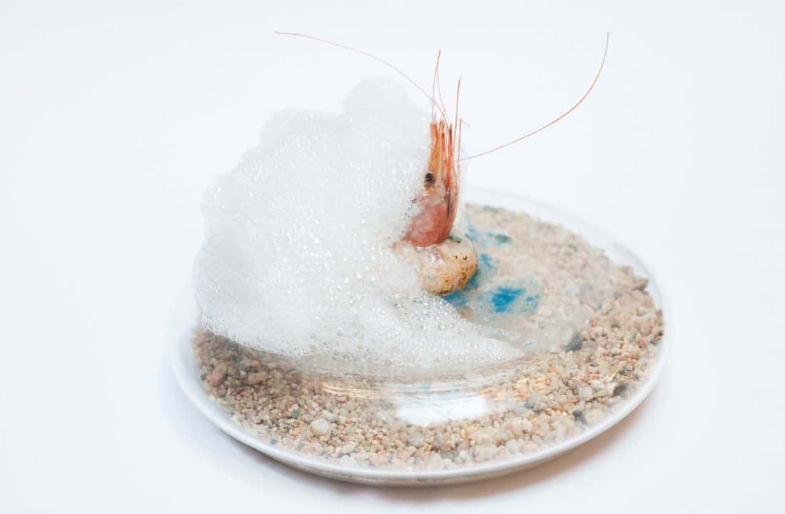 Otra de las propuestas que te sorprenderán