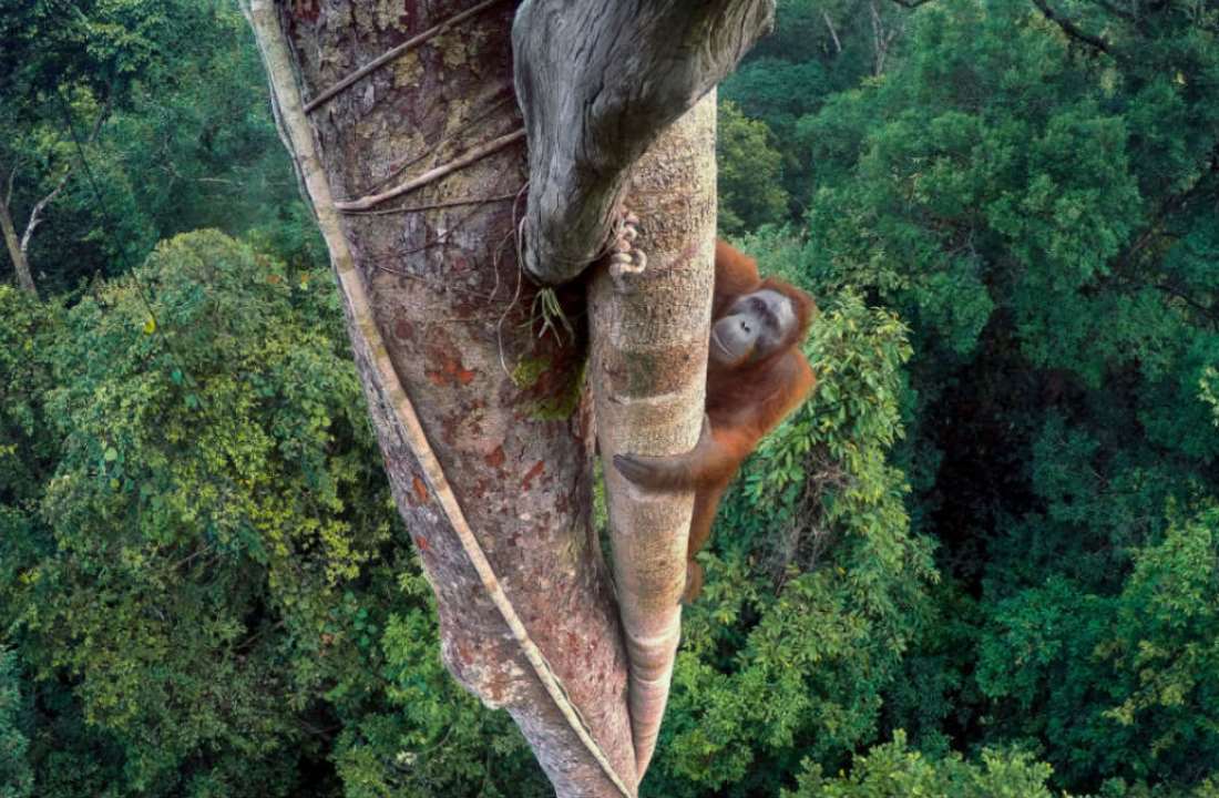 Una de las imágenes de la exposición