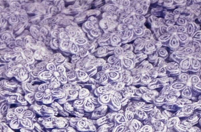 ¡Violeta por todas partes!