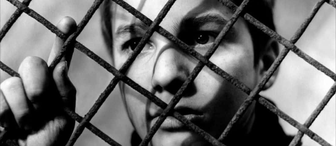 20131130_los_400_golpes_portada