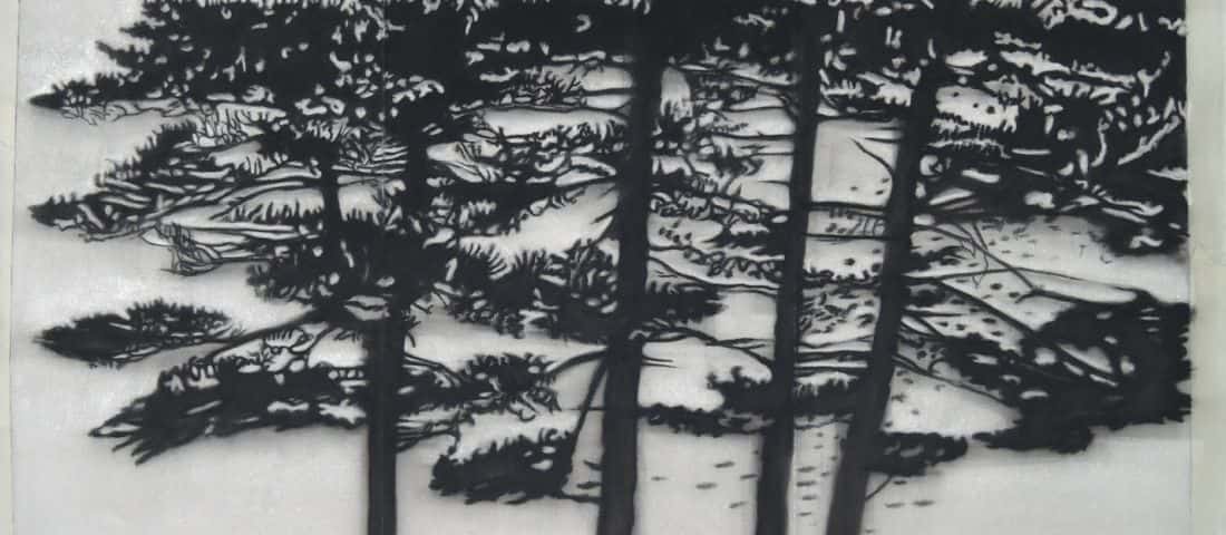 20150422_verne_portada