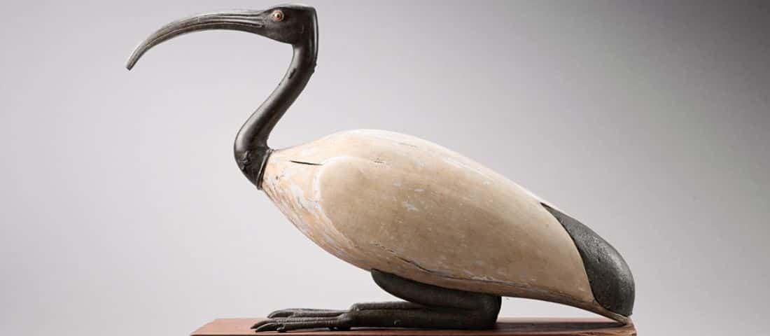 20150603_nilo_portada