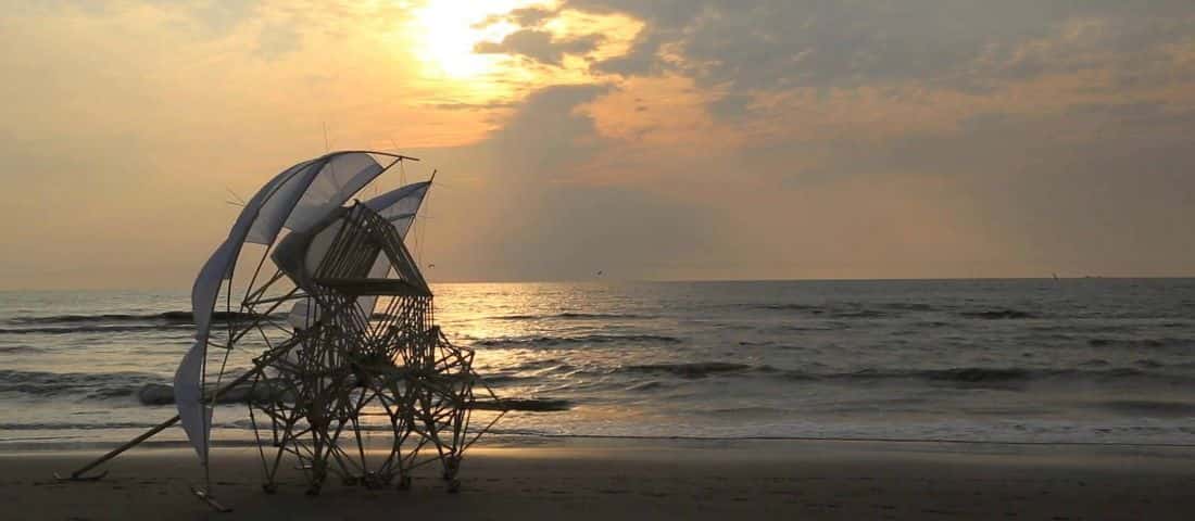 20151101_theo_portada