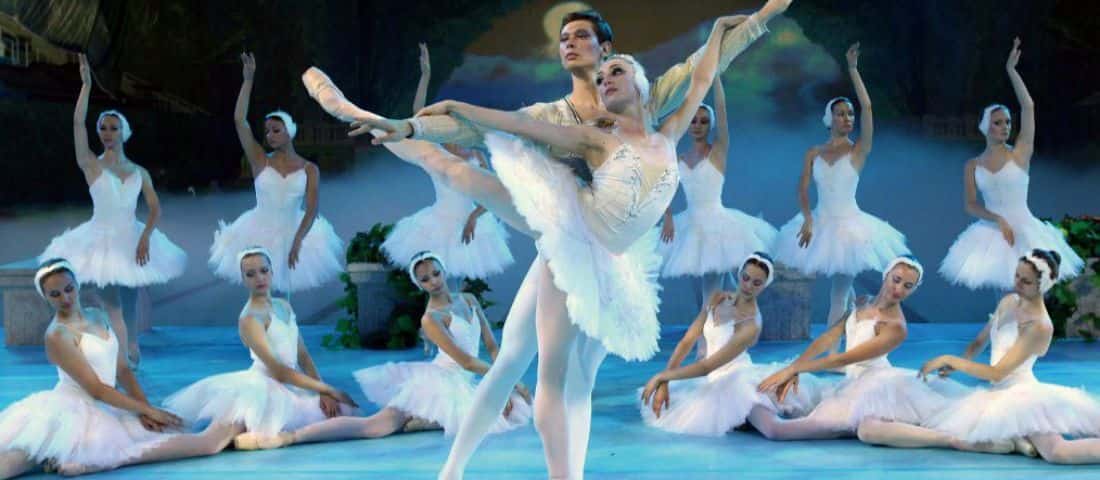 20160202_cisnes_portada