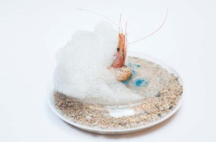 Otra de las propuestas que te sorprenderán