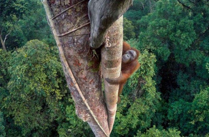 Una de las imágenes de la exposición