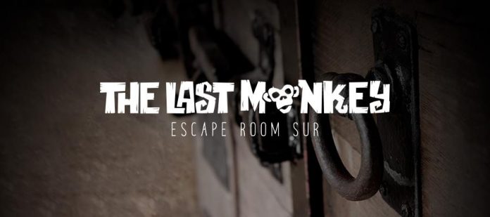 the last monkey